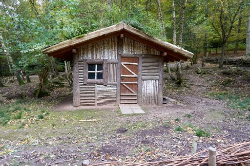 A small wooden house in the middle of the forest