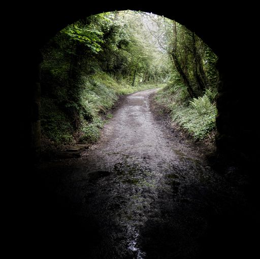 A beautiful shot of a tunnel with a view of a pathway surrounded by trees and greenery