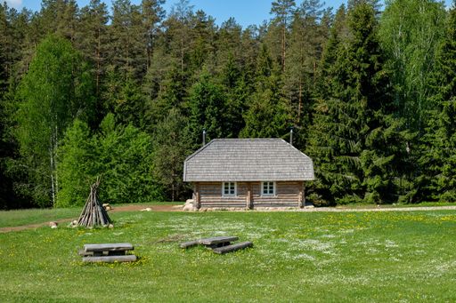 A wooden house in a green field in Lithuania