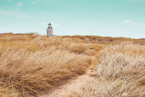 A beautiful field with dry greenery and a lighthouse beacon tower in the distance under a blue sky