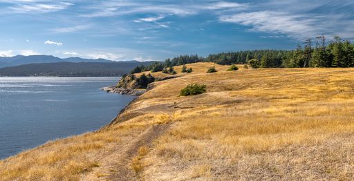 A dry grassy field in Helliwell Provincial Park in Hornby Island, BC, Canada