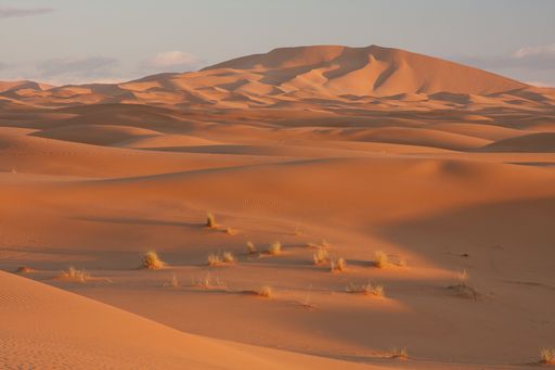 A beautiful shot of the sandy desert during sunset under the blue sky - perfect for background