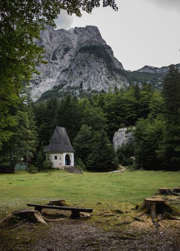 A vertical shot of a small cottage surrounded with green trees in Vrata valley, Triglav National Park, Slovenia