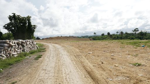 A landscape with a pathway and trees in Puerto Plata Province, Dominican Republic