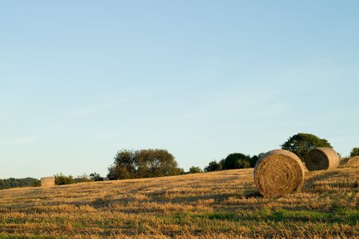 The beautiful view of the hay bales in the field in the countryside under the blue sky