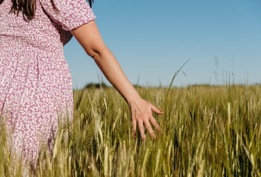 Lifestyle image of beautiful woman with long hair, walking in field and touching wheat or barley ears.