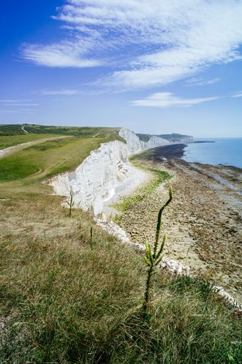 The beautiful Seven Sisters Country Park in Birling, UK