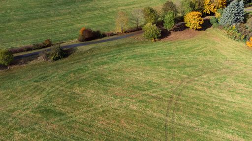 An aerial shot of a green field and trees