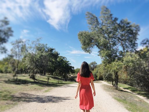 A scenic shot of a woman wearing a pink dress from her back walking on the path in a park