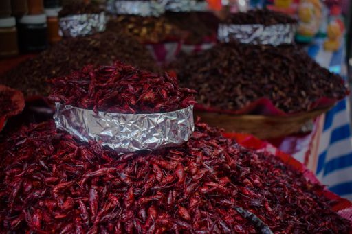 A beautiful selective focus shot of red shrimps which are put on the market