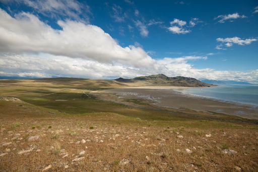 A stunning landscape of Antelope Island State Park in the US state of Utah under a cloudy sky.