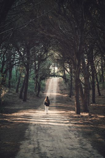 A rear view of a long-haired young female walking through the forest along dense high trees