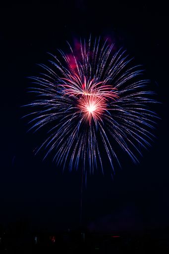 An enchanting rain firework in the night sk