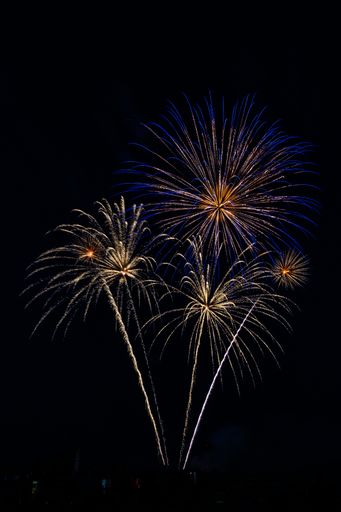 A multiple firework in the night sky