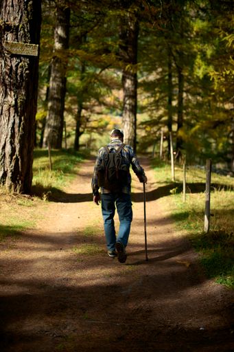 The vertical shot of a hiker man walking on a road in the Goms region in the Kanton Wallis in Switzerland