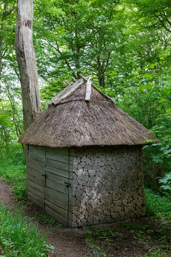 A vertical shot of an old small wooden hut in the middle of a forest