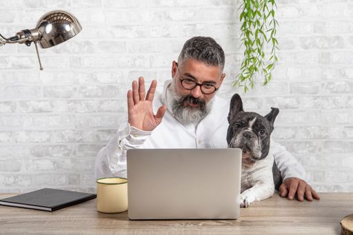 A bearded man working from home with his dog sitting in the office