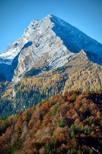 A beautiful shot of a mountain against a blue sky surrounded by a forest on a sunny day