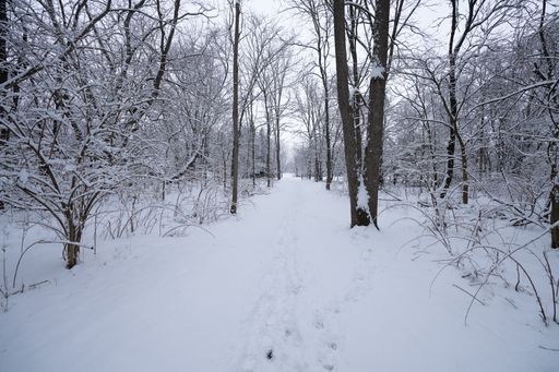 The beautiful view of the winter park.