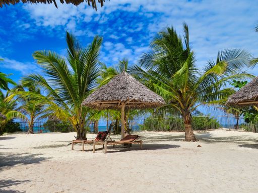 A beautiful scenery of two deck chairs and umbrella on a nice calm beach with palms in Zanzibar