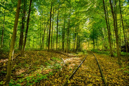 Old rails in the scenic autumn forest