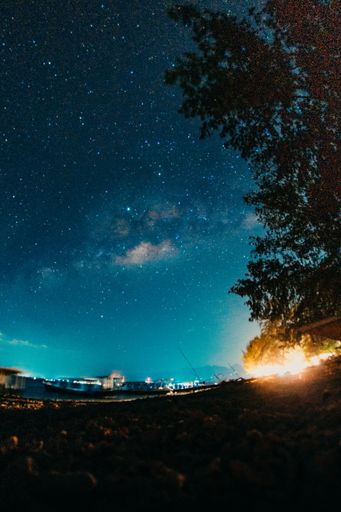 A beautiful vertical low angle shot of blue sky full of stars