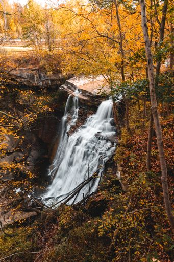 A beautiful waterfall in the forest in the fall colors