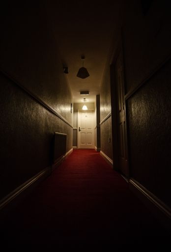 A vertical shot of a narrow and dark hallway with red carpets and a white door at the end of it