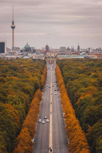 A vertical shot of road leading to Victory Column along autumn trees in Berlin, Germany
