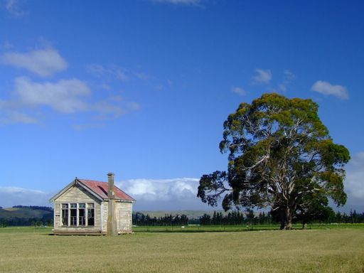 An old wooden building in a field covered in greenery under the sunlight and a blue sky