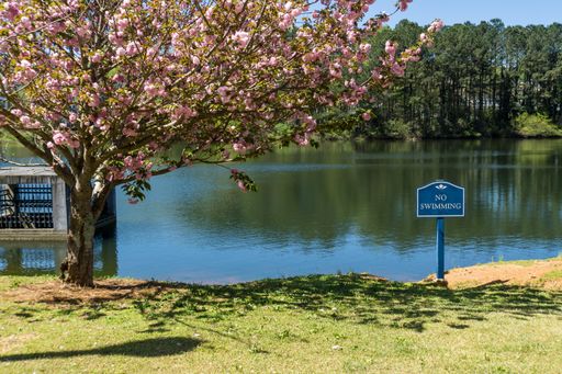 A beautiful tree with blue pink flowers near the lake in the park