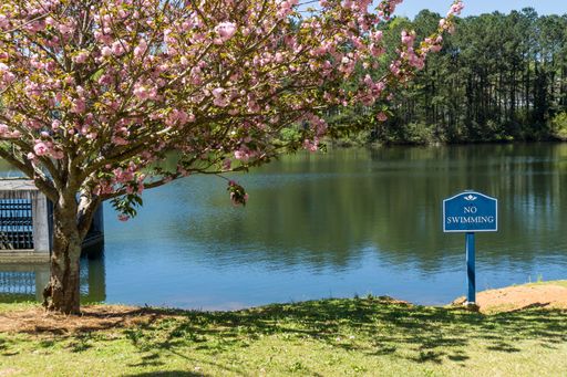 A beautiful shot of a cherry blossom tree in front of a lake with trees on the background