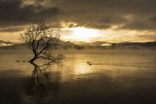 A breathtaking shot of the Lake Wanaka in Wanaka village, New Zealand