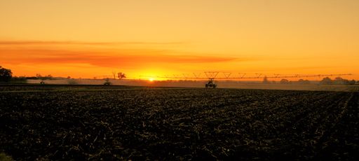 A beautiful shot of an orange sunset over a field