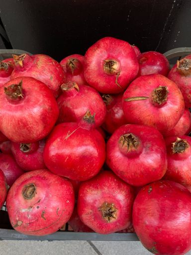 A vertical shot of pomegranate fruit harvested on Corfu island, Greece