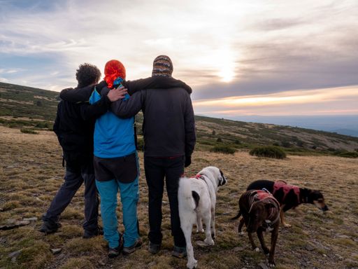 A rear view of 3 hikers with their dogs enjoying a beautiful sunset view over the mountains