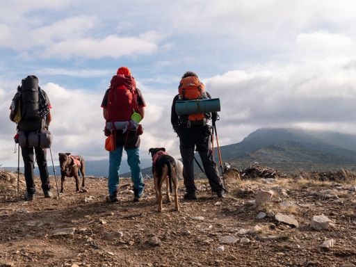 A rear view of 3 hikers with their dogs enjoying a beautiful cloudscape over the mountains