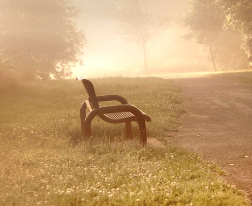 A scenic shot of a bench in a park and the mornings' fog and sun come together on a quite trail