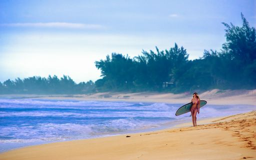 A beautiful shot of a surfer on the North shores of Hawaii, USA