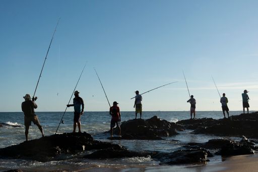 Silhouette of fishermen with their poles at sunset. Salvador, Bahia, Brasil