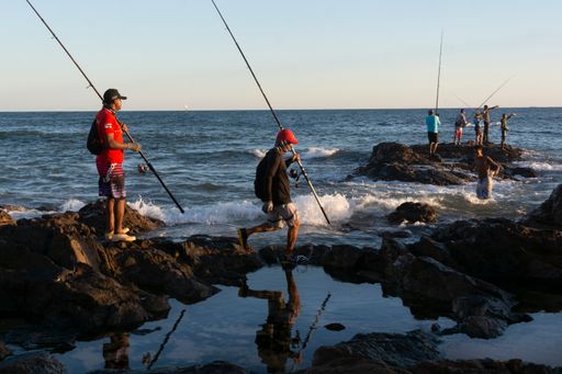 Silhouette of fishermen with their poles at sunset. Salvador, Bahia, Brasil