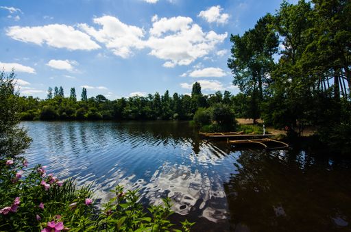 A beautiful scenery of a lake surrounded by green trees under a cloudy sky