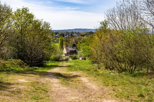 A narrow pathway in a green land surrounded by a lot of trees with houses in the background