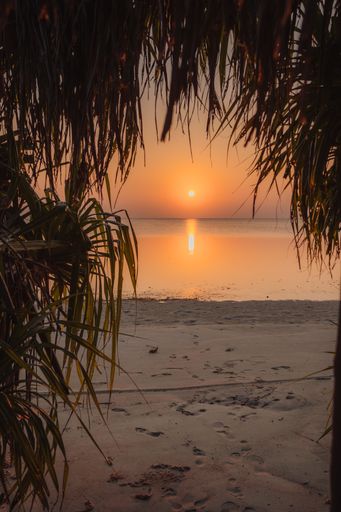 A vertical shot of the beautiful sunset above the sea. The Maldives.