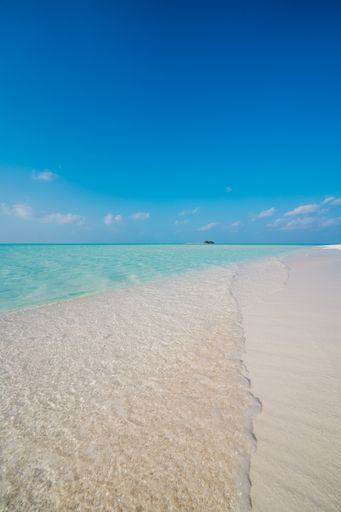 A vertical shot of the beautiful beach with turquoise water. The Maldives.