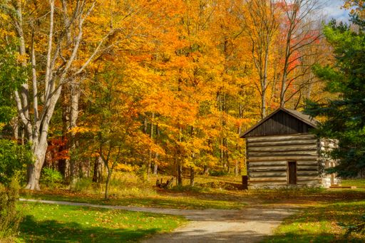A beautiful autumn view of the log cabin in the woods in Alliston Ontario