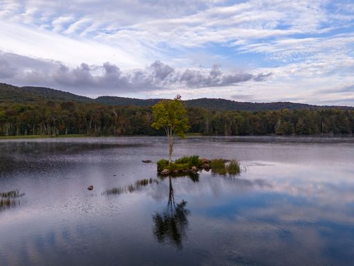 A serene lake scene with a small island and a tree reflecting in the water, surrounded by a lush forest under a cloud-filled sky.