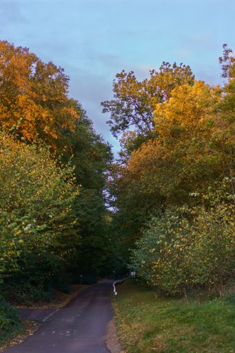 A beautiful view of the autumn park in Hinchinbrook, Huntingdon, UK
