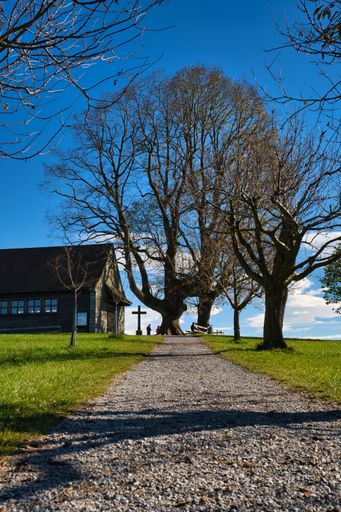 A vertical shot of a road leading to a tree and a house in Kapelle Michaelskreuz