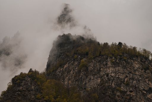 The partially forested hills covered with fog in spring